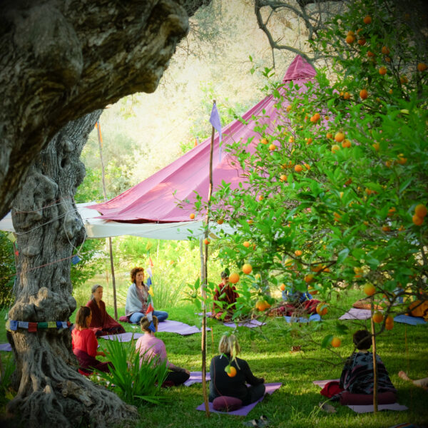 Small group practicing yoga in nature with SunFoodYoga, connecting deeply with the environment and each other.