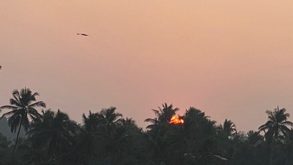 Sunrise with eagles